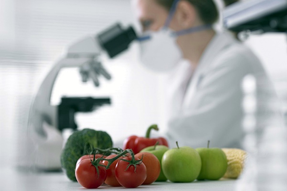 Żywność modyfikowana genetycznie. Jak zidentyfikować GMO?