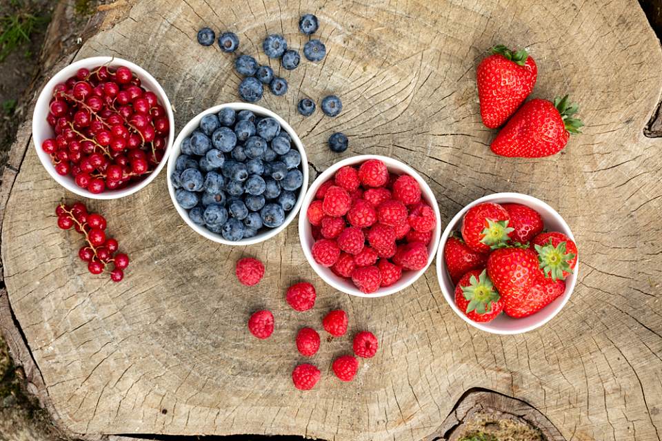 Polskie superowoce dla lekarzy w Bergamo i w Turynie