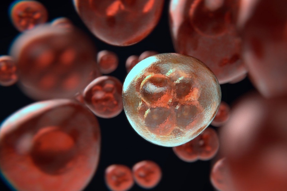 Prawidłowe żywienie