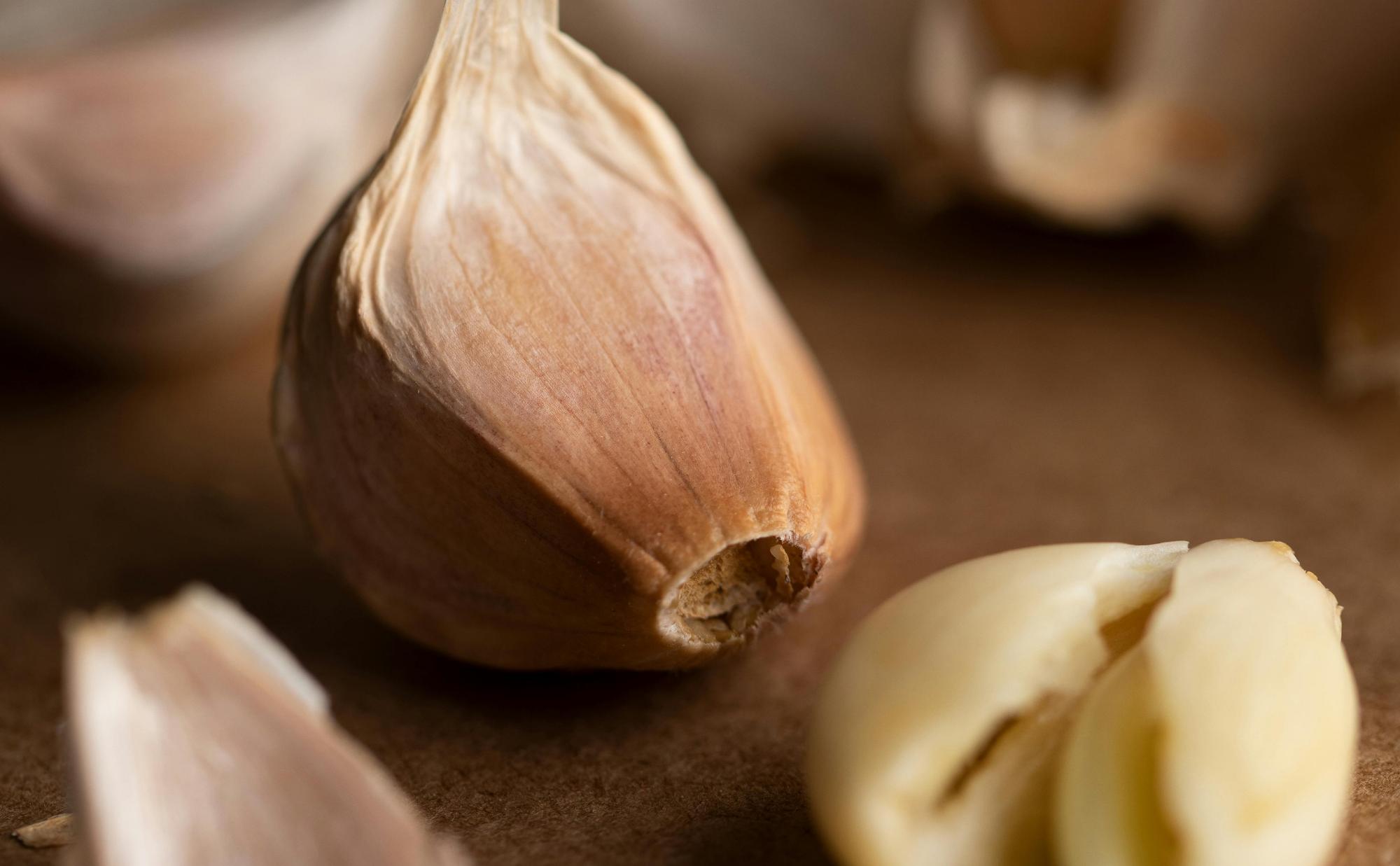 Czosnek zamiast antybiotyku. Co można nim wyleczyć?